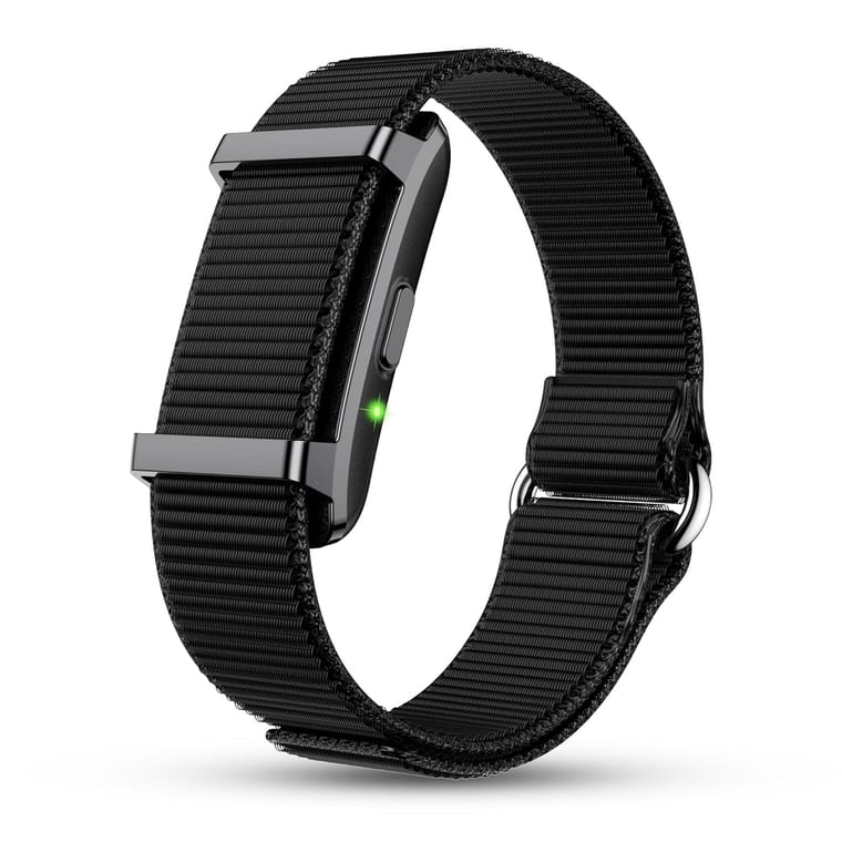 Pebble Qore 2