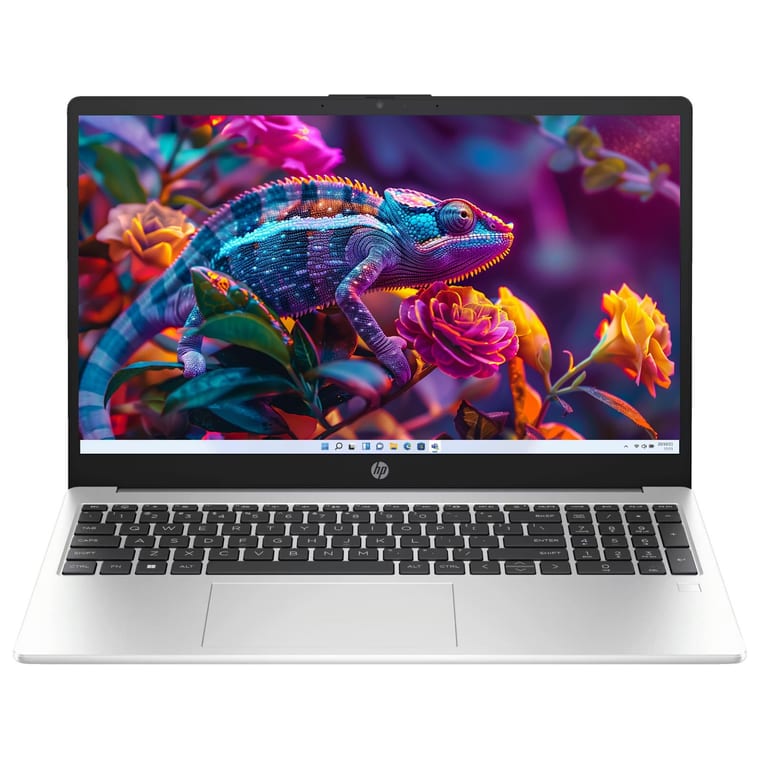 HP Professional 15 Core 3 100U laptop